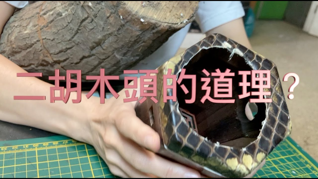 二胡的木頭這麼貴？為什麼不是所有木頭都可以做二胡？