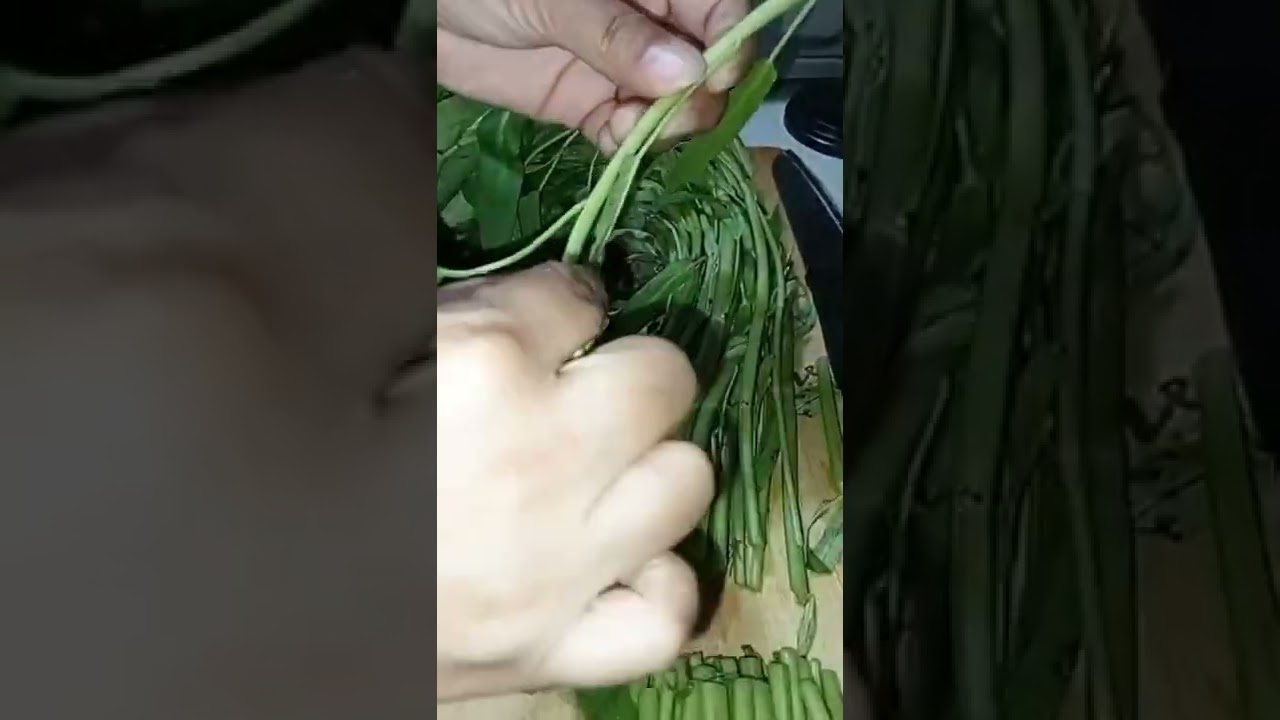 How to Pluck Kangkong #shorts #kangkong #freshvegetables #pluck #howto #asmrvideo #plucking