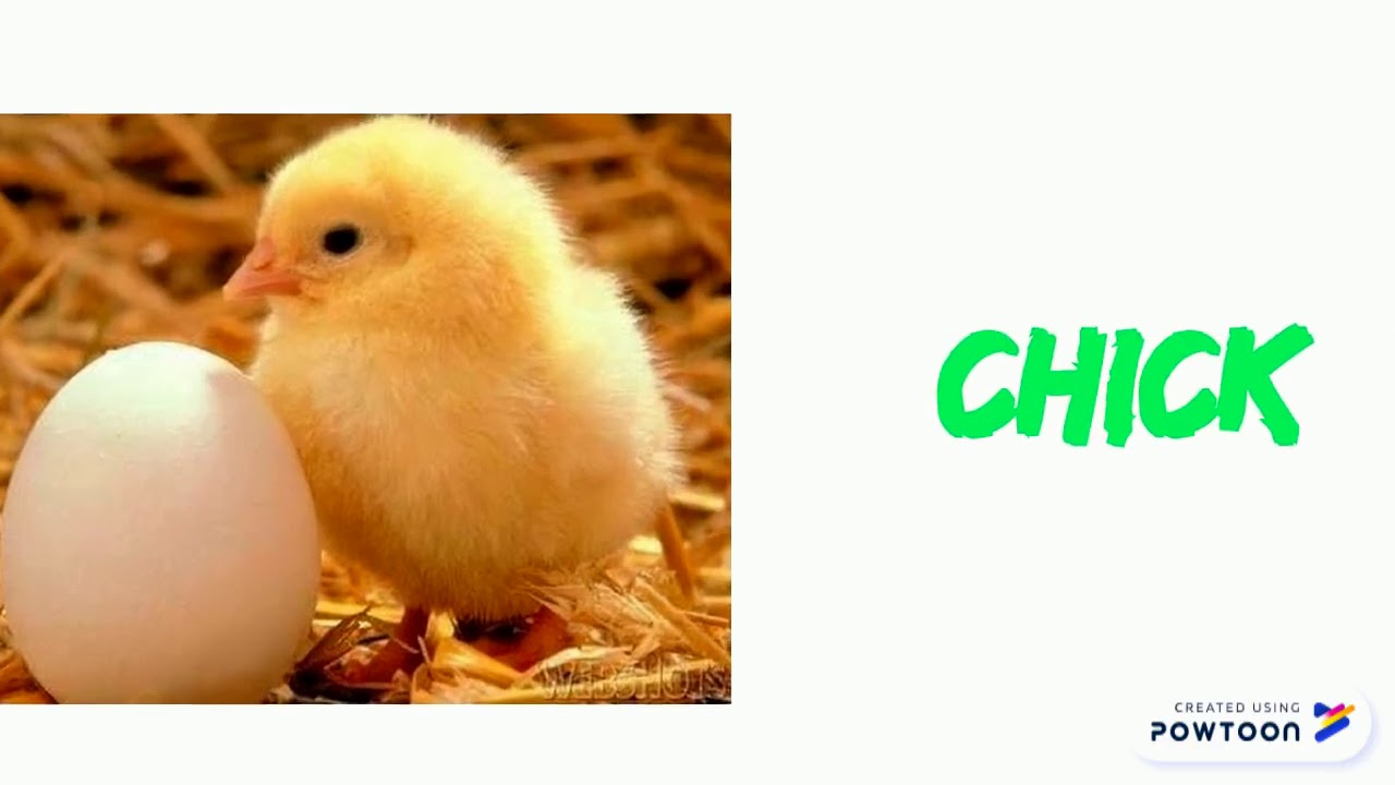 EASTER WORDS