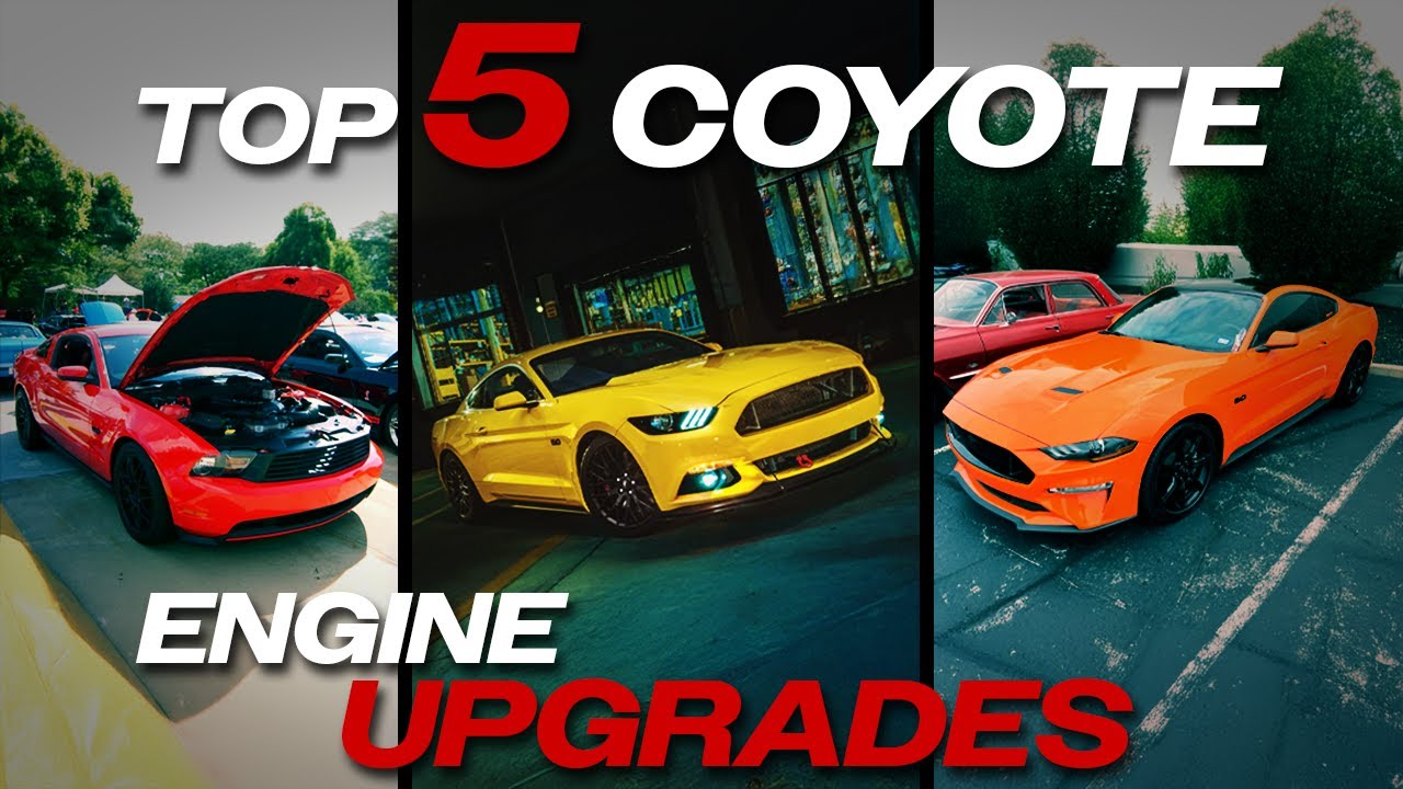 Affordable Coyote Mods That Add Real Power! | Budget Mustang & F-150 Upgrades