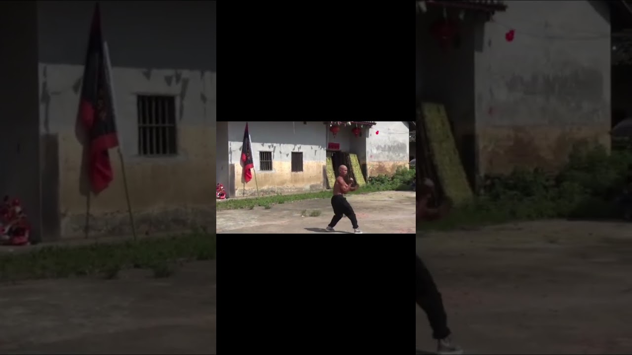 Iron Ox Praying Mantis by Master Qiu Yunhua #shorts #gongfu #southernshaolin