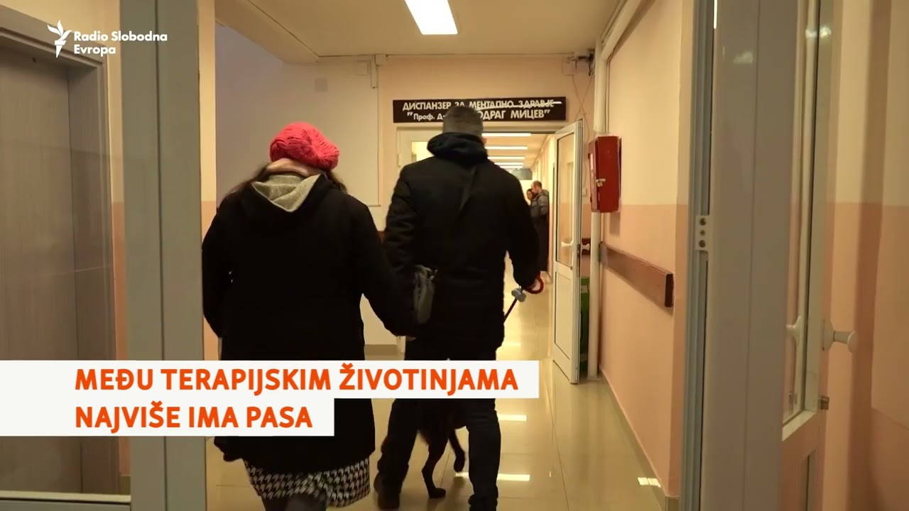 Dan sa Rodžerom, terapijskim psom Klinike za psihijatriju u Skoplju