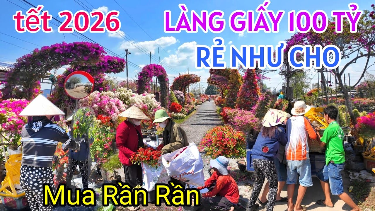 BÙNG NỔ LÀNG HOA GIẤY 100 TỶ TÂN DƯƠNG ĐỒNG THÁP TẾT 2026 GIÁ KIỂNG BÔNG GIẤY ĐỘC LẠ RẺ CHƯA TỪNG CÓ