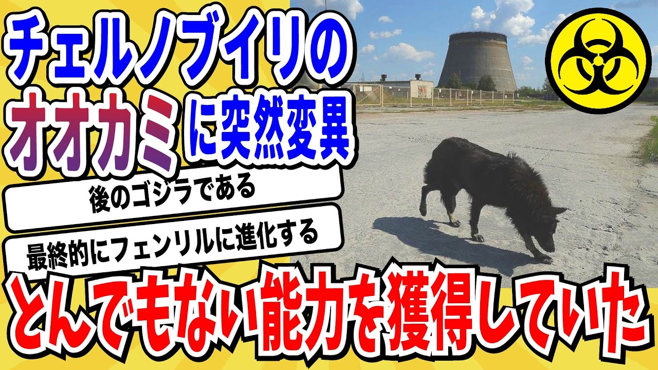 【2ch動物スレ】チェルノブイリの禁止区域に生息する「オオカミ」突然変異によってとんでもない能力を手に入れてしまうwwwww【なんj/にちゃん 面白いスレ/X】