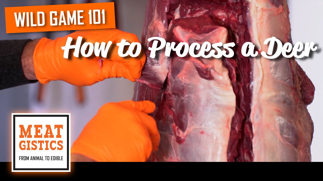 How to Process a Deer - Wild Game 101