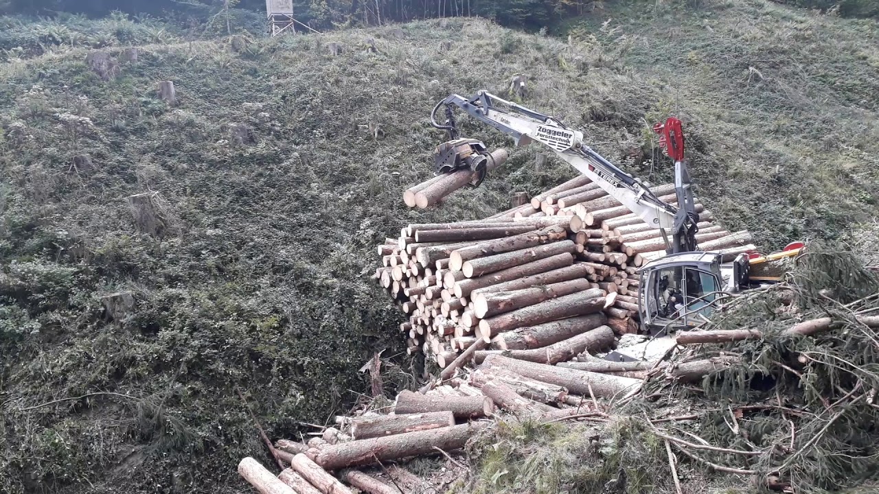 Holz Priller Z&ouml;ggeler ZBH 58 Prozessor  Terex TW 240 Yarder