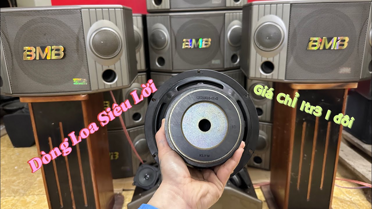Đúng là dòng loa siêu lời BMB CSX-550c bas 20, nghe phê như mật rót vào tai các bác ạ...097.994.6636