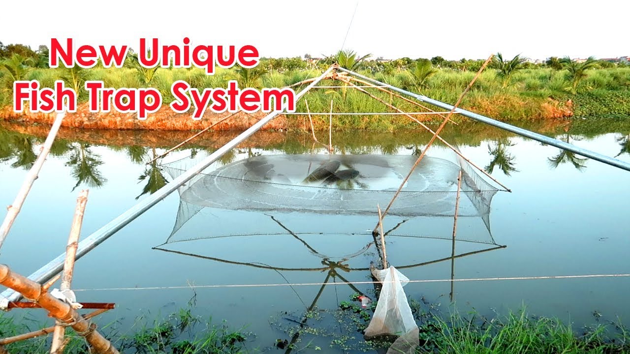 Unique Fish Trapping System | This is my fish trap system to catch a lot of big fish