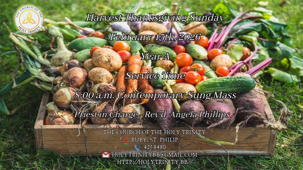 Harvest Thanksgiving Sunday Year A (Conrtemporary Sung Mass)