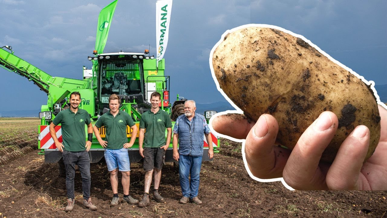 🥔Combina de recoltat cartofi AVR PUMA 4! 🇷🇴 PREMIERĂ în România!
