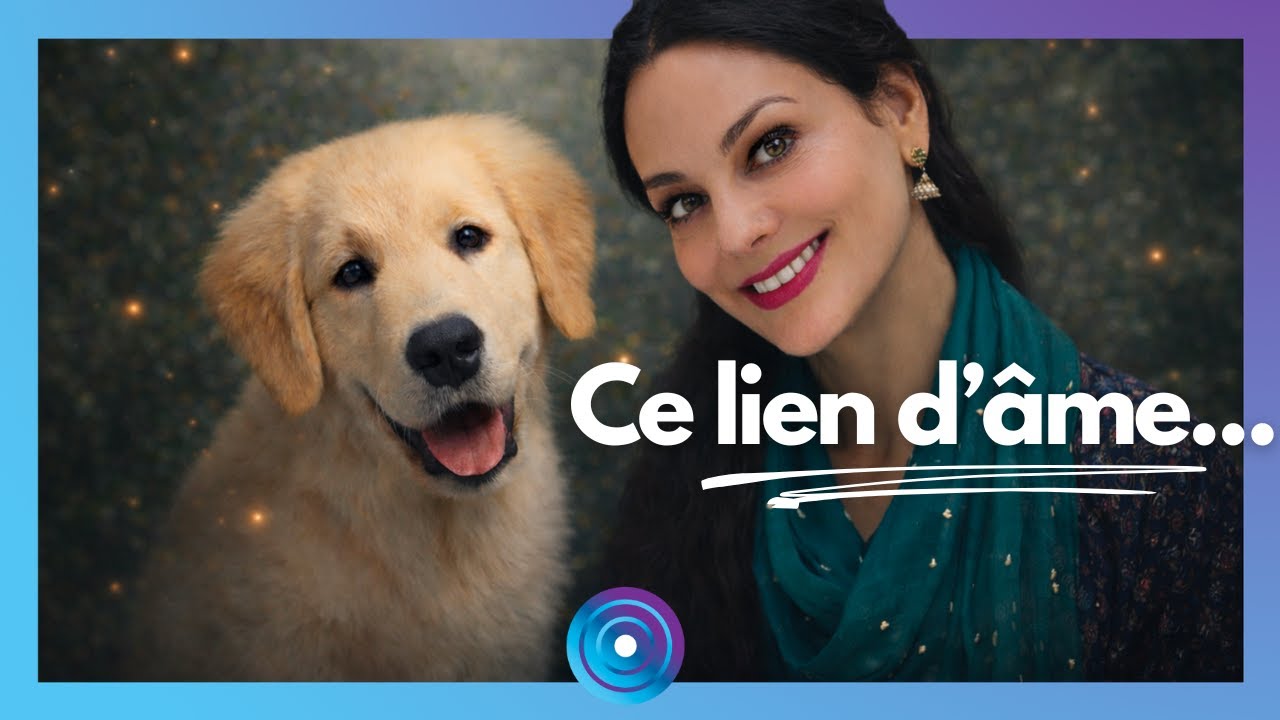 Quand le chien révèle les blessures de son gardien... avec Laila del Monte, communicatrice animale