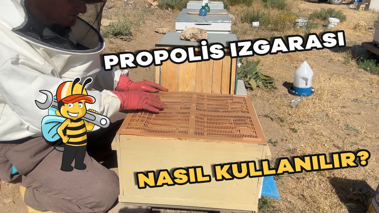ПРОПОЛИСНЫЙ ГРИЛЬ – КАК ИСПОЛЬЗОВАТЬ?
