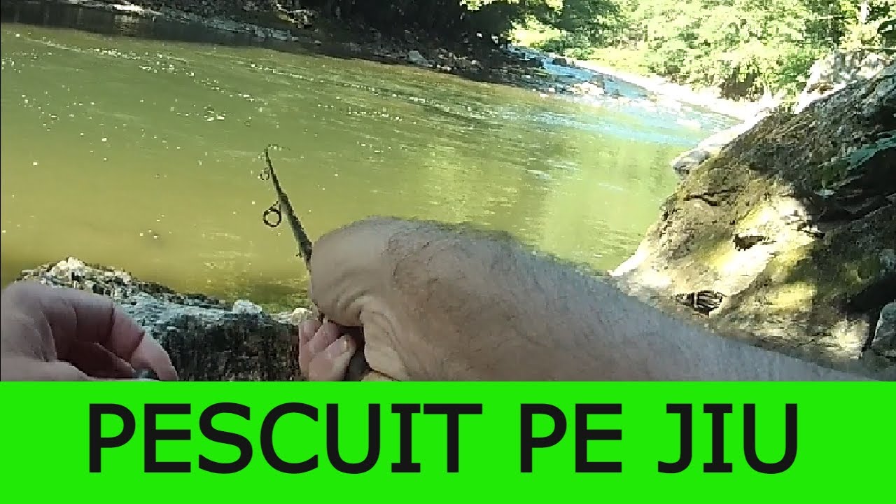 #PESCUIT PE JIU