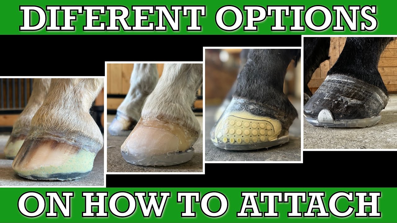 Farrier Techniques for Attaching Horseshoes, and the Integration of Mechanical Enhancements.