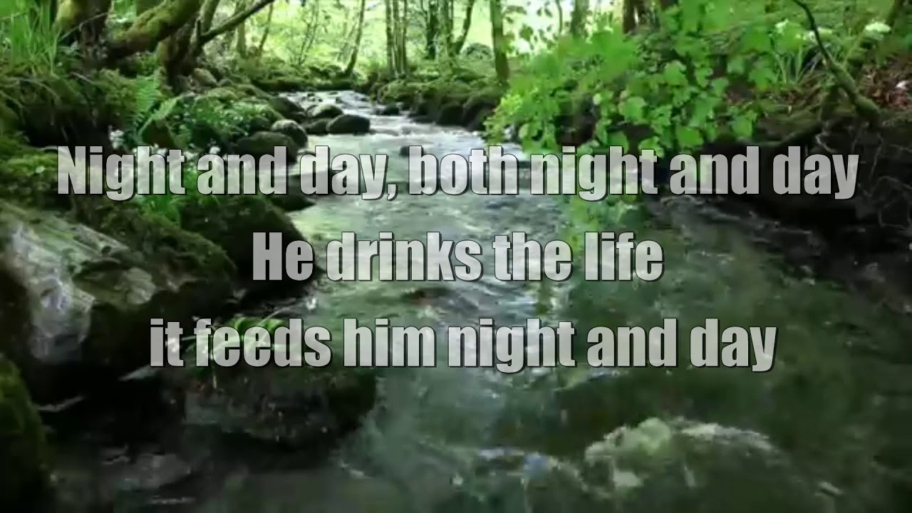 PSALM 1 NIGHT AND DAY (Lyric Video) My Soul Among Lions