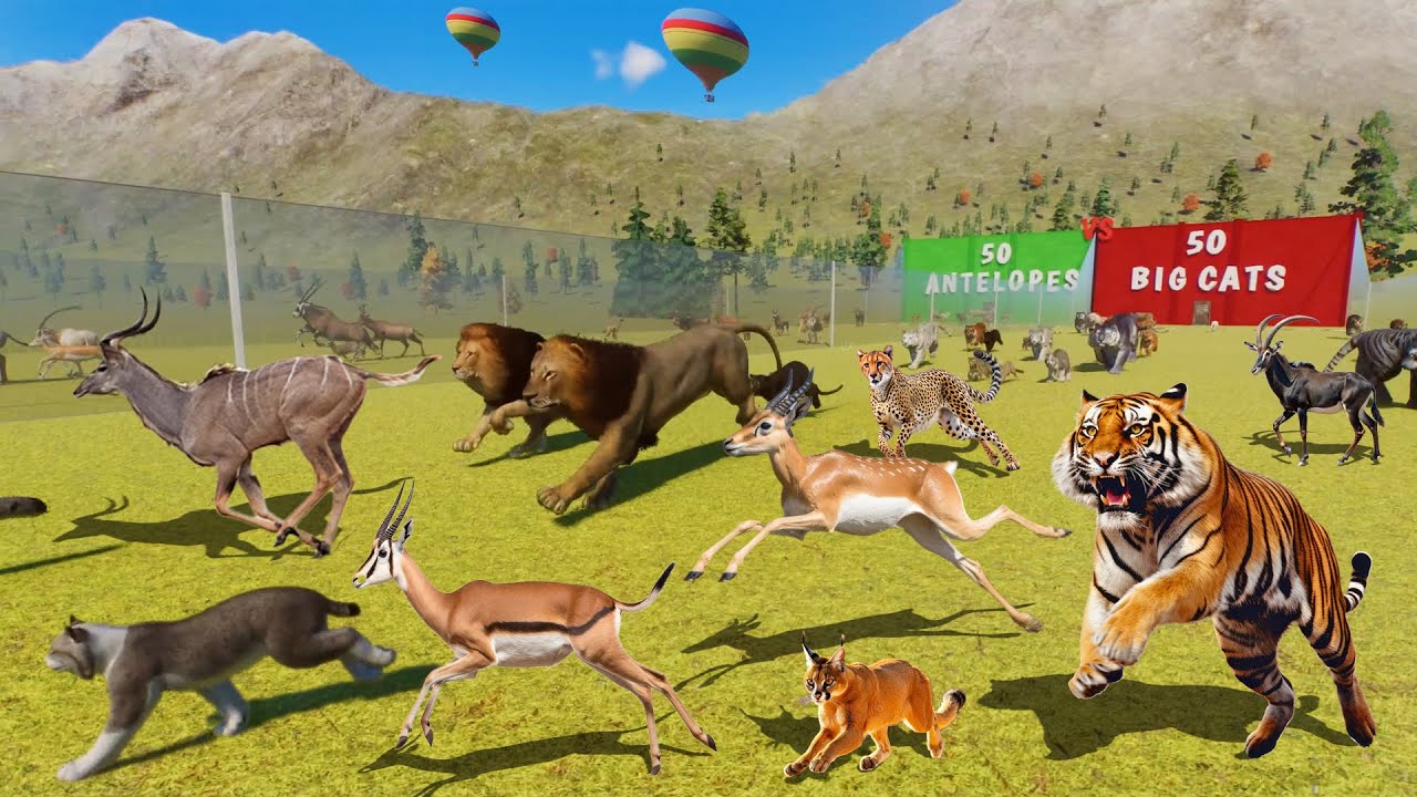 50 Animals VS 50 Animals in Planet Zoo All Episodes, Included Lion, Elephant, Giraffe Live Stream#34