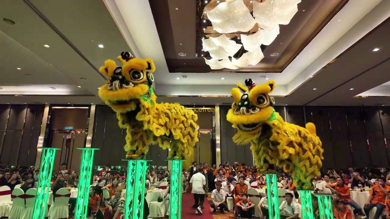 Brickfields Hong Teck 10th Anniversary - Acrobatic Lion Dance by Selayang Hong Teck 士拉央弘德體育會