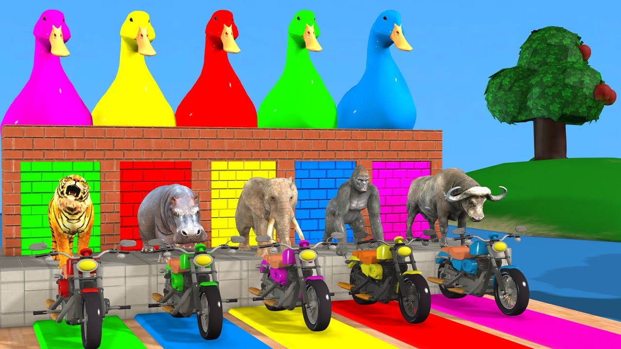 Long Slide Game With Elephant Gorilla Buffalo Hippopotamus Tiger - 3d Animal Game - Funny 3d Animals