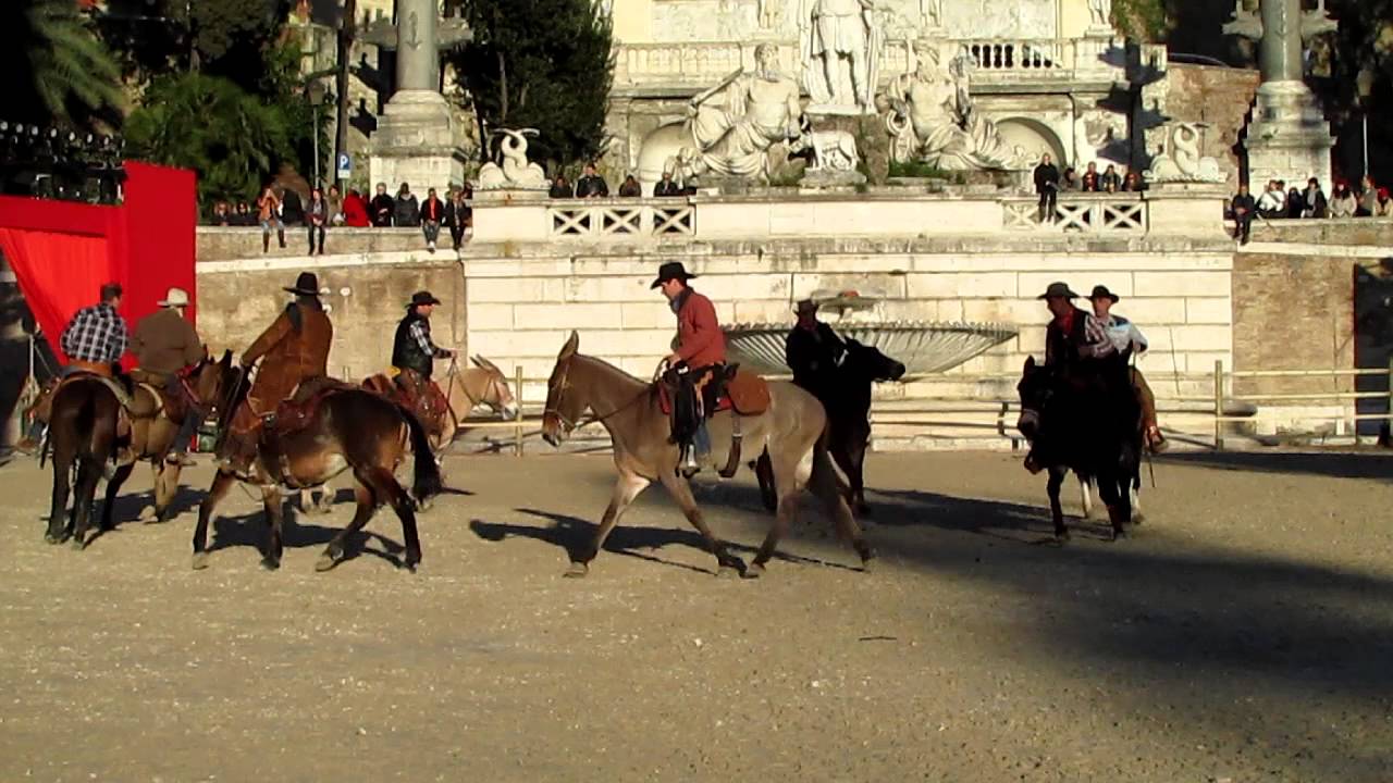 L'Associazione Italiana Muli Montati al CARNEVALE ROMANO 2013