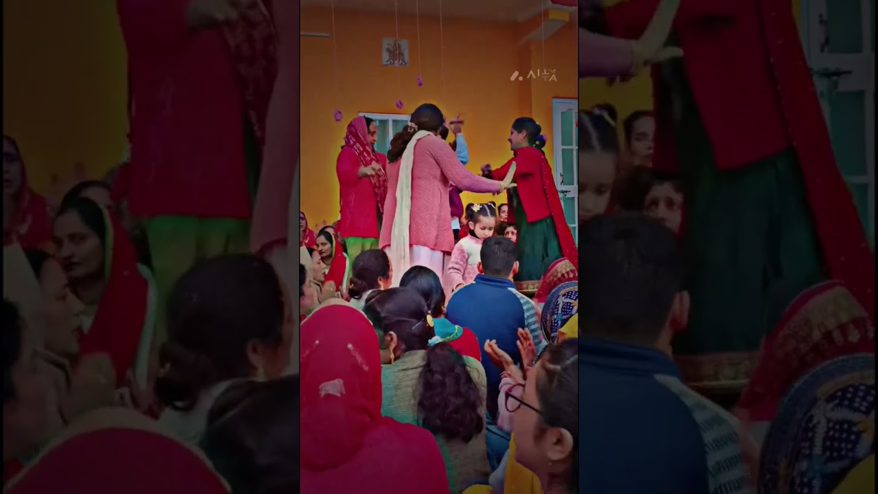 Pahadi gidda Arki solan
