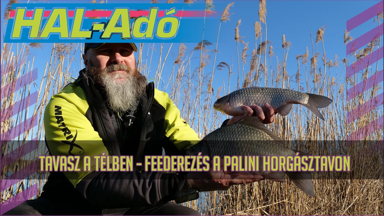 Tavasz a télben – Feederezés a Palini horgásztavon