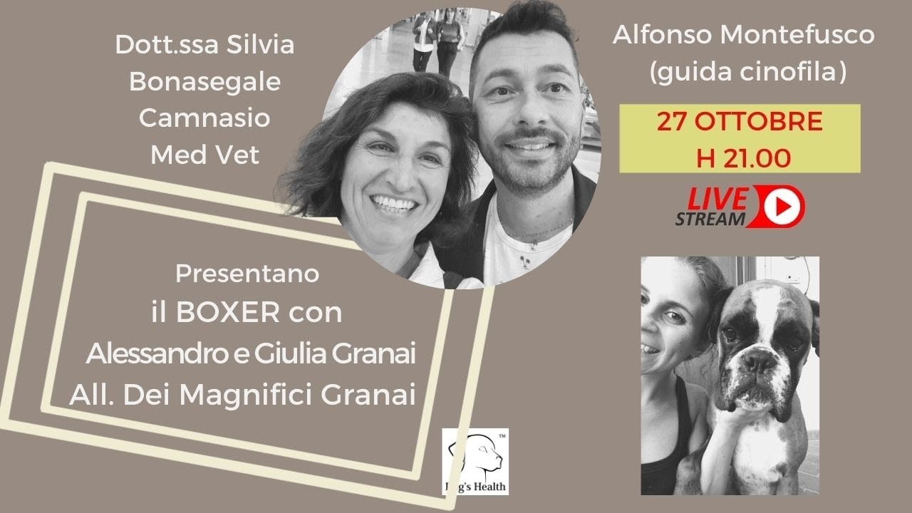 Tutto sul #boxer un atleta buono con Alfonso Montefusco di #guidecinofile