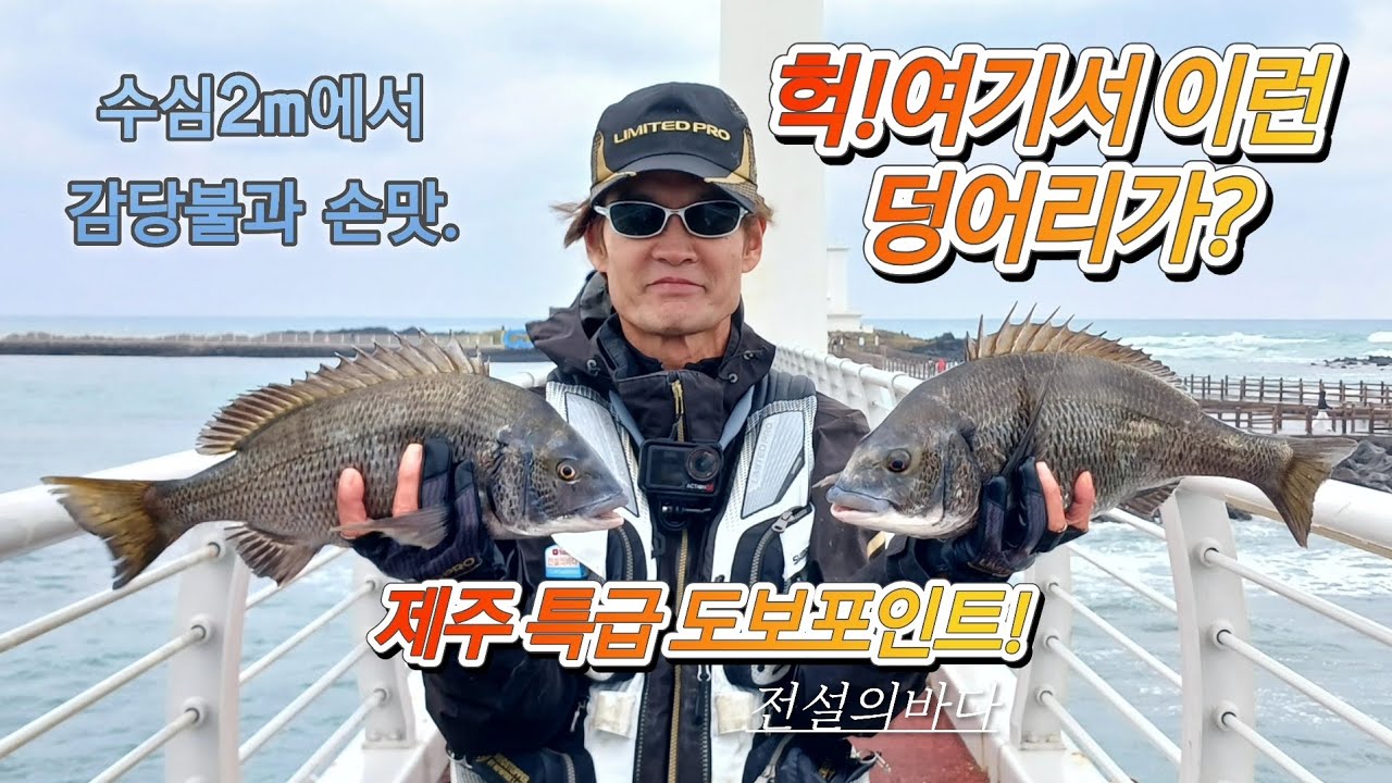 제주도 특급 도보포인트.