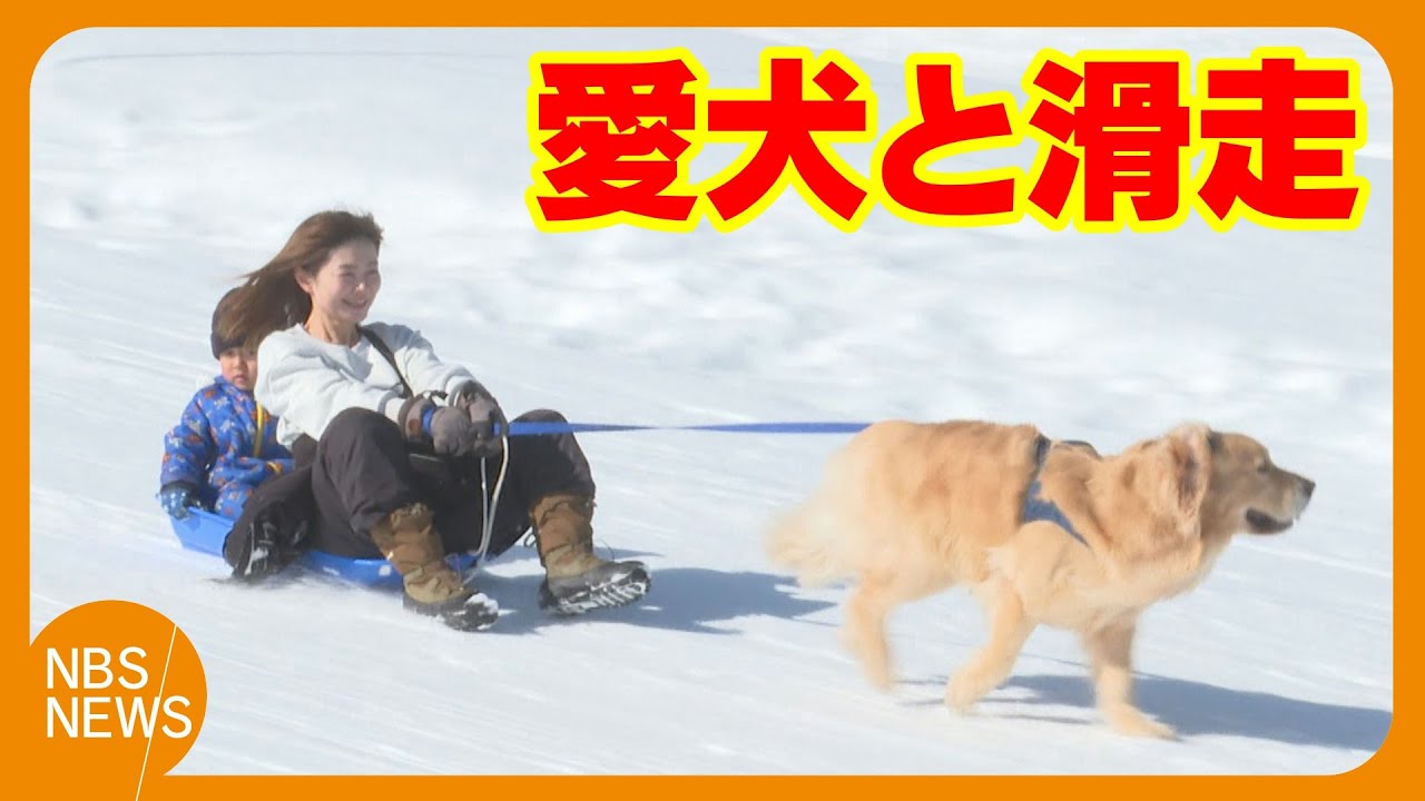 利用者減の中…スキー場の集客アイデア「愛犬と滑走&1日100人限定」　チケット販売は昨季の2倍ペース「プライベートゲレンデのようだ」と評判