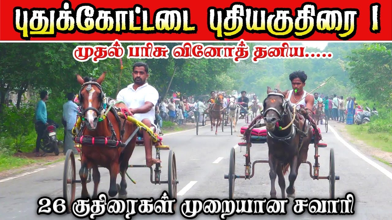 பிரிவு -1-புதிய குதிரை - புதுக்கோட்டை மச்சூவாடி-07-12-2015