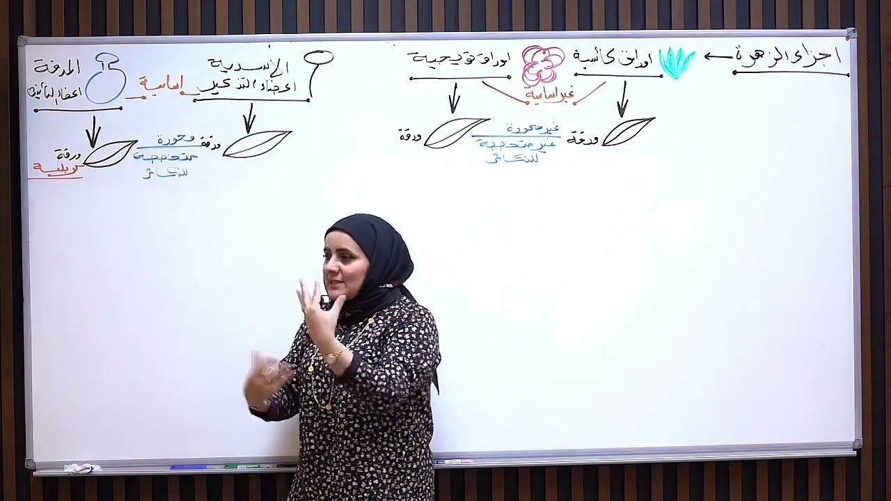 ست نورا الدايني الأحياء الفصل الثالث المحاضره رقم 11-النبات زهري 1