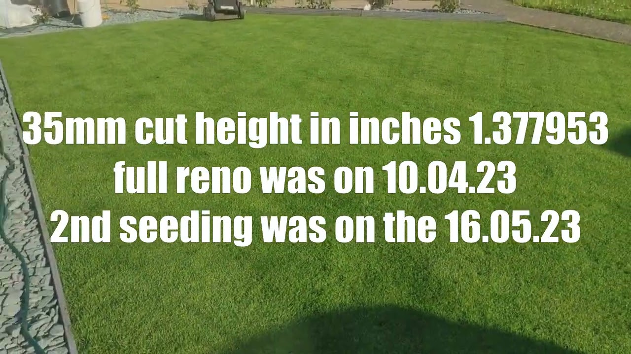 26/27.05.23 Daily cut weeding lawn and weeding #lawncare #barenbrug #rpr #lawnuk