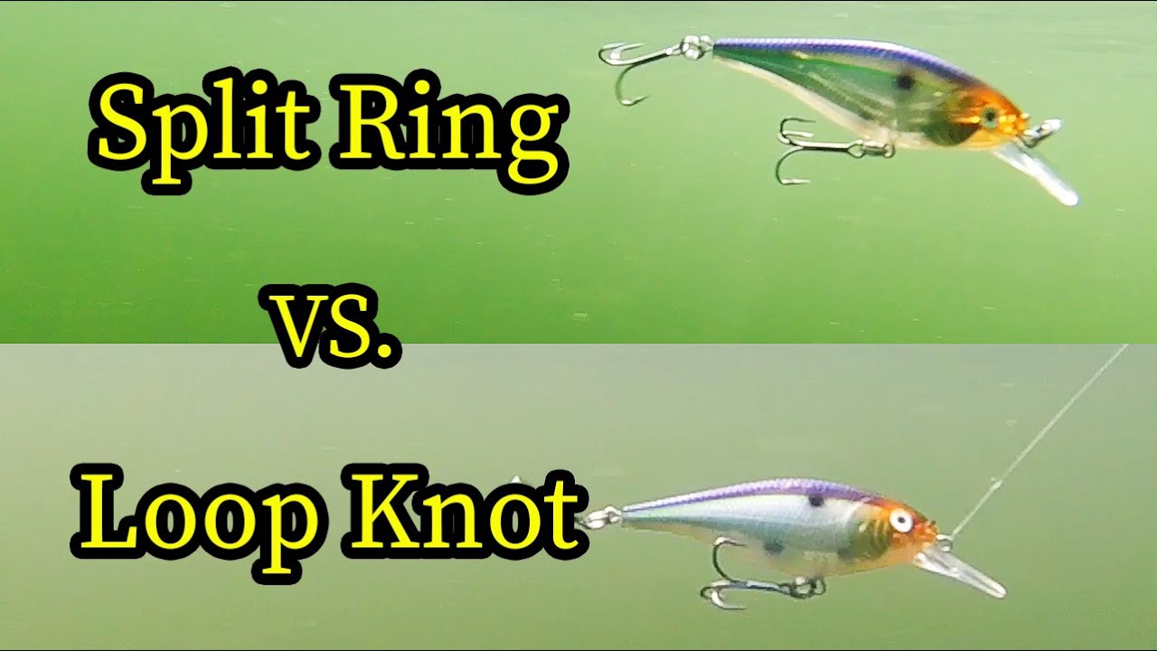 Should I use a split ring or loop knot?