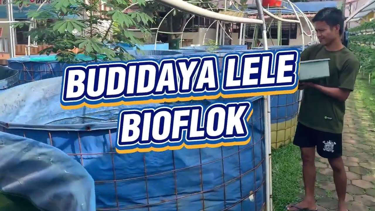 Fasilitas Agriyaponik Dalam Gambar (@agriyaponik9690 )