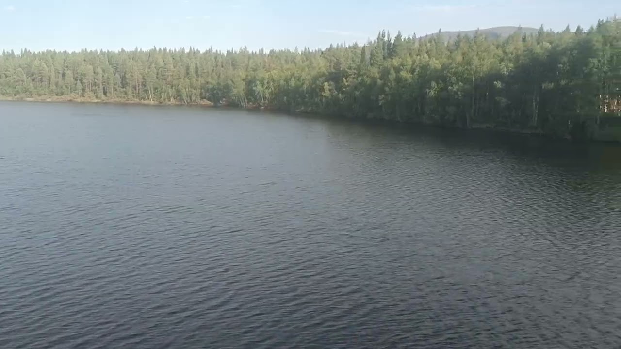 21 января 2026 г.