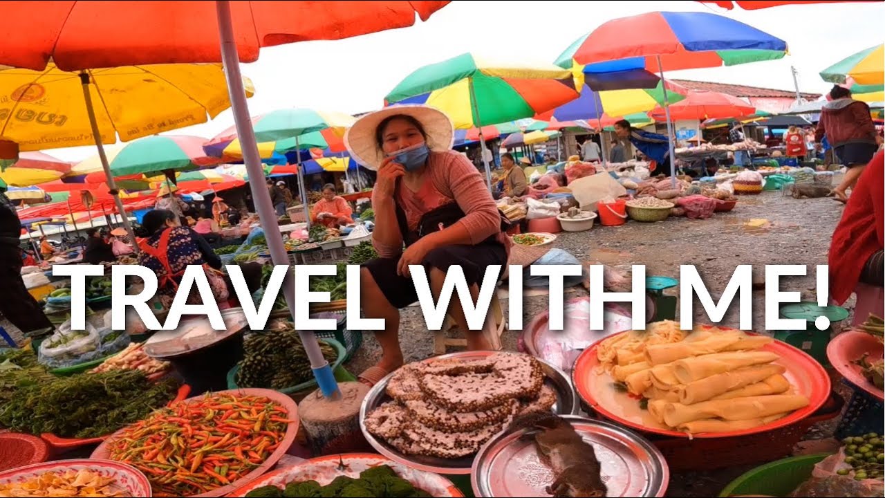 Craziest Wild Bush Meat Market Tour in Laos (SOLO Covid Travel SE Asia 2021)
