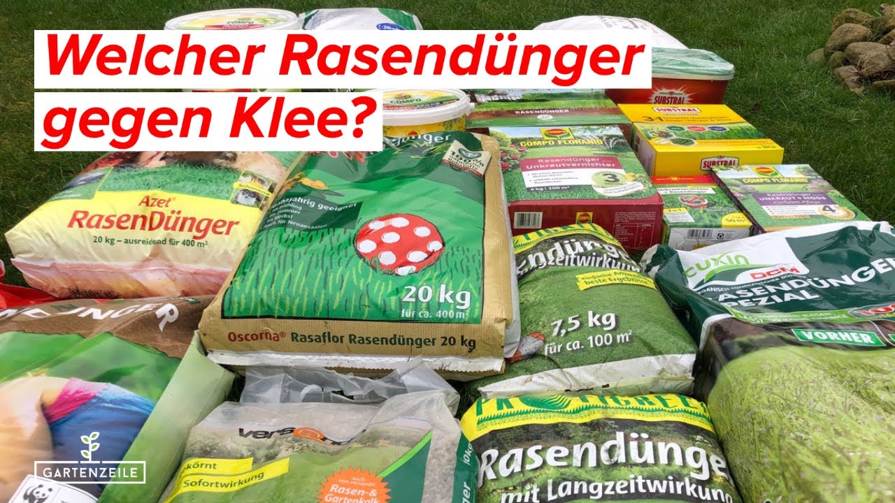 Welcher Rasend&uuml;nger gegen Klee?