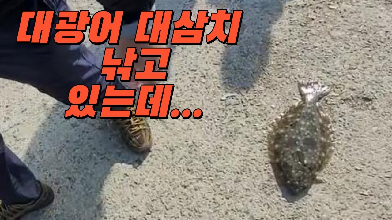남들은 대광어 대삼치 잡고 있는데... 오륙도방파제 등대섬 삼치 전갱이 루어 쇼어지깅