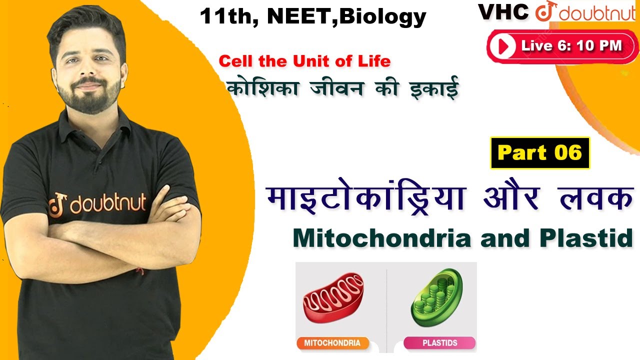 माइटोकांड्रिया और लवक | Cell the Unit of Life |Biology| 11th |Chapter 8| Part 6 |Yogesh Sir