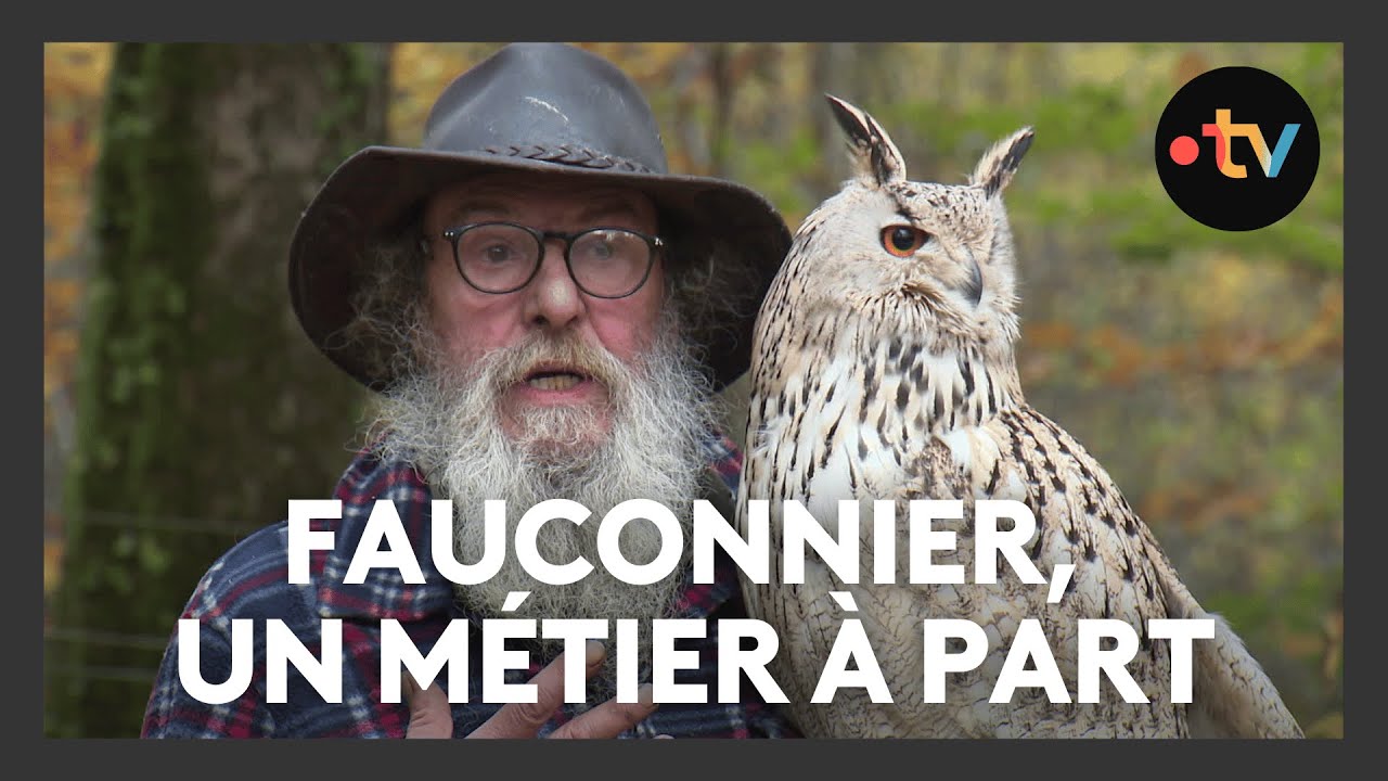 Fauconnier, un m&eacute;tier &agrave; part embrass&eacute; par Jean-Jacques Thomas
