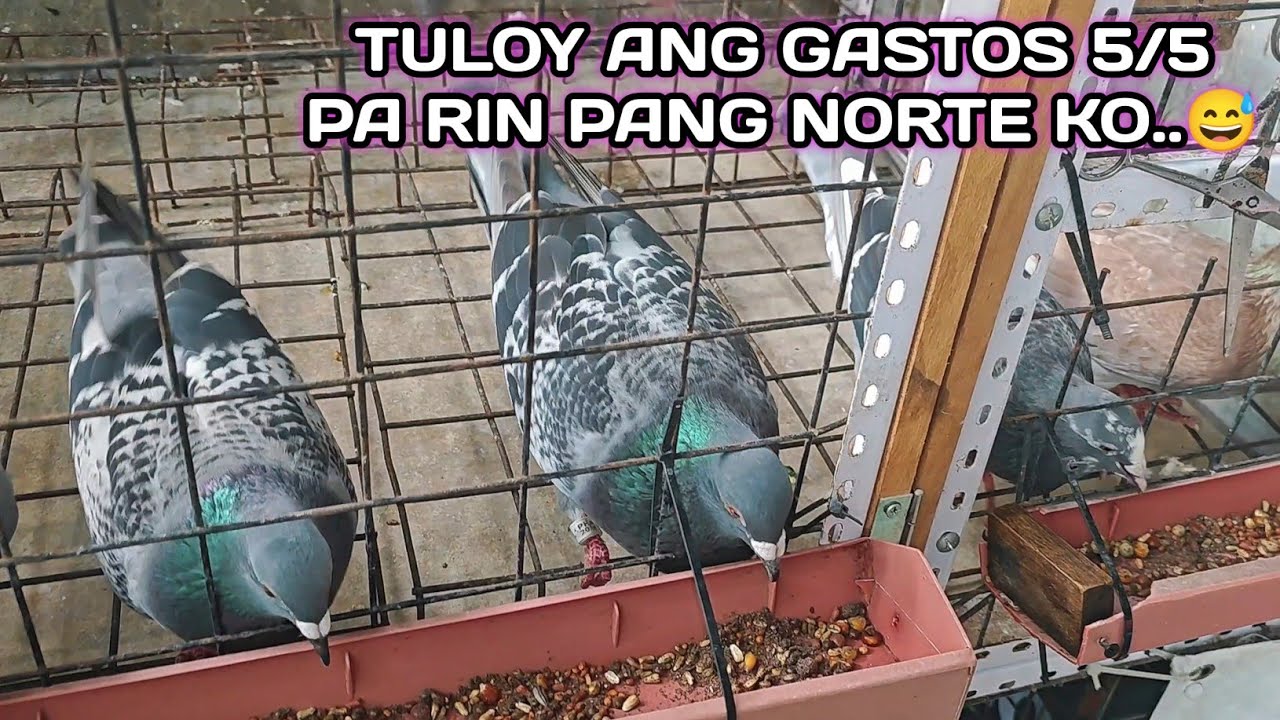 TULOY ANG GASTOS 5/5 PA RIN PANG NORTE KO..😅