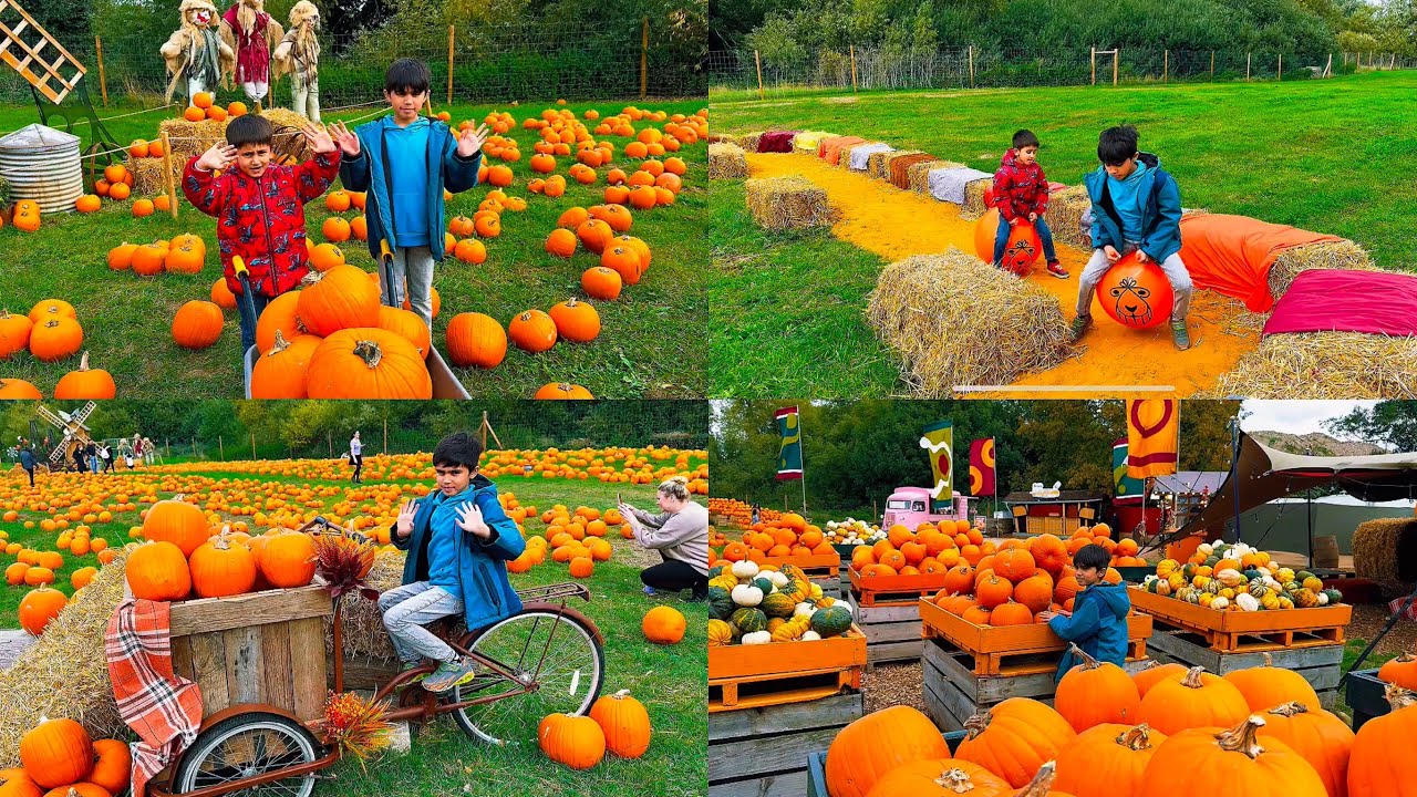 Сбор тыкв в Лондоне в Хобблдаун-Хит, Хаунслоу 🎃 | Волшебное осеннее приключение 2025 года
