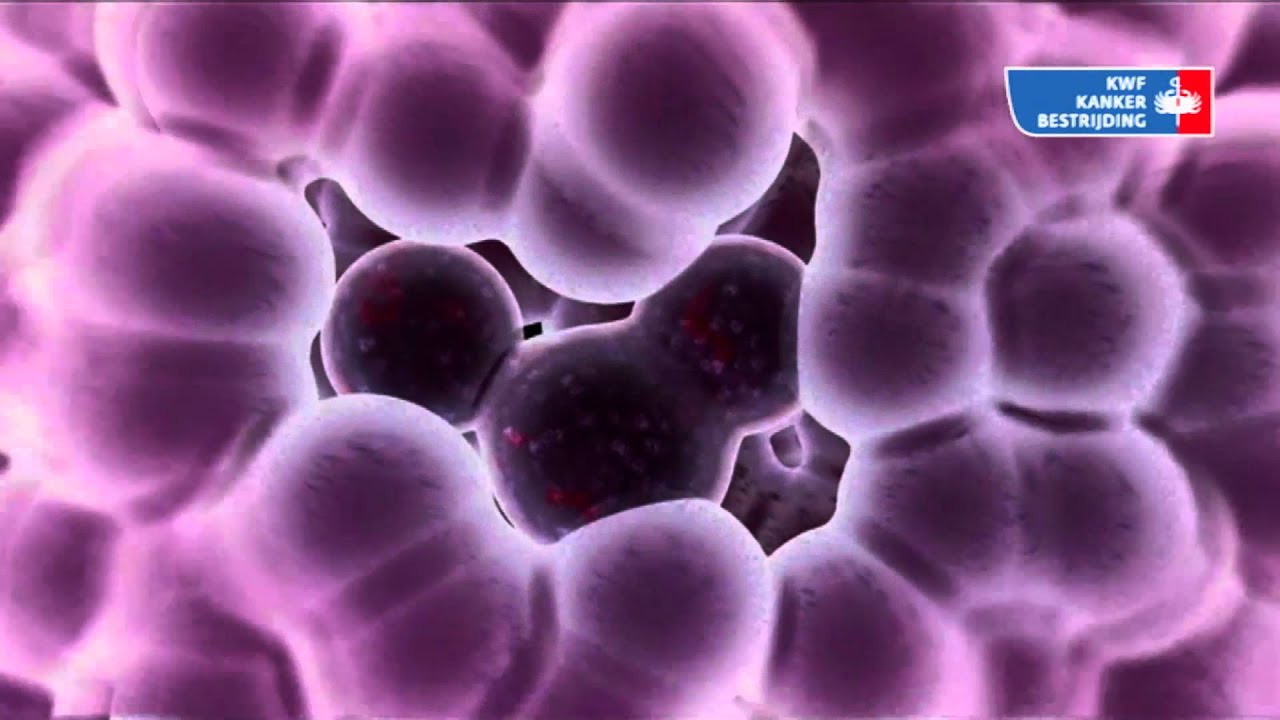 Wat is kanker?