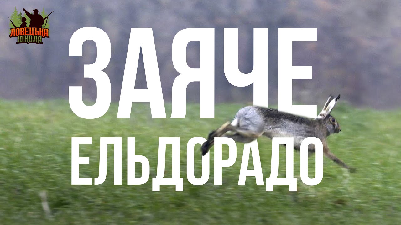Полювання на зайця. Ловецька школа Випуск 1