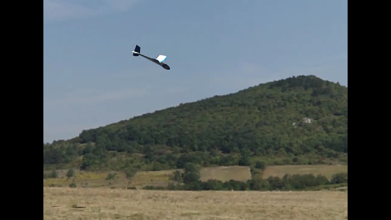 mosquito