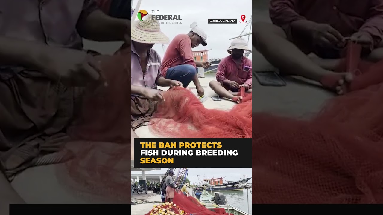 Kerala Enforces 52-Day Trawling Ban to Protect Fish Stocks During Monsoon | #shorts