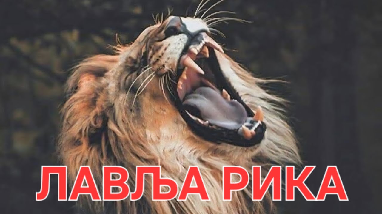 ОПЕРАЦИЈА 