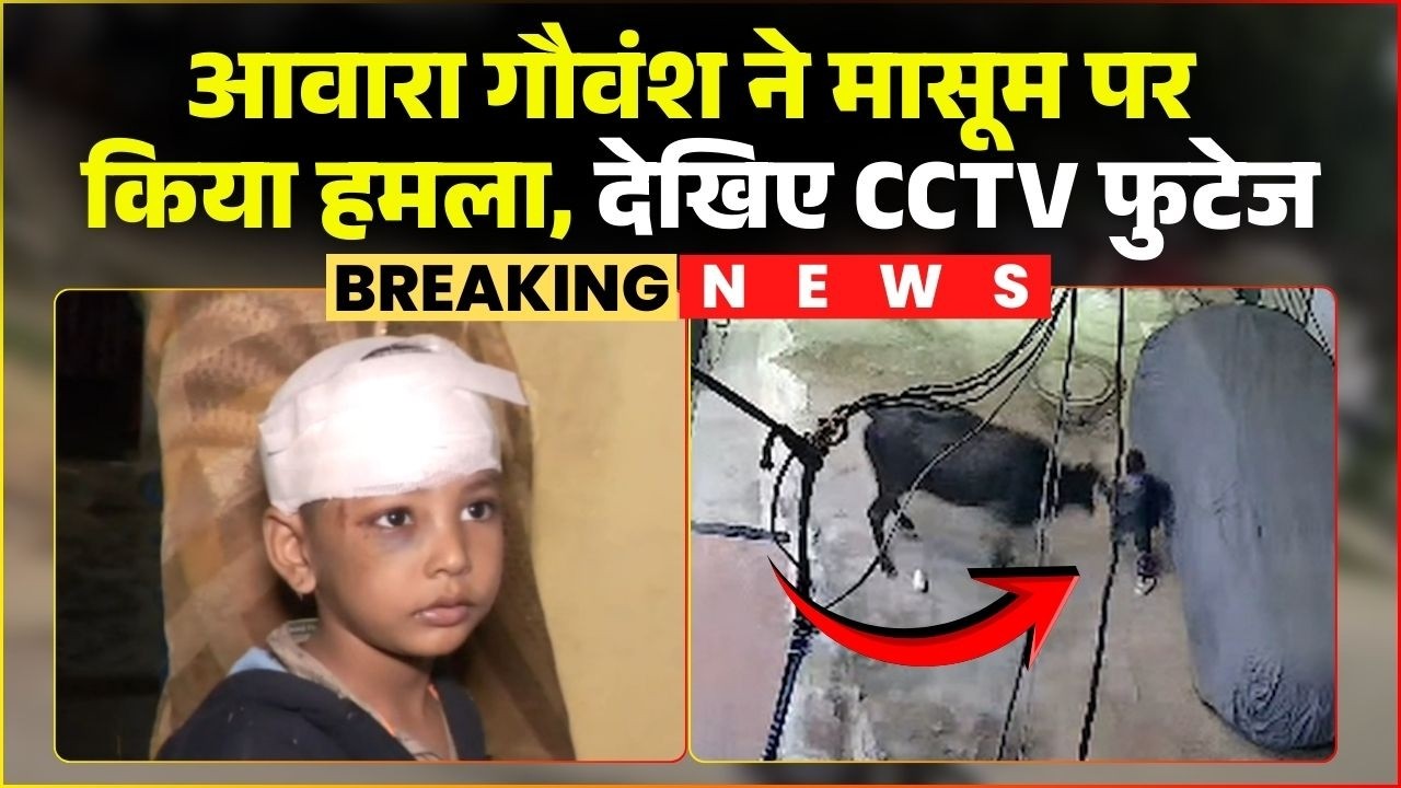Gwalior Cow Attack Video: A stray cow attacked an innocent child. CCTV footage of the incident ha...