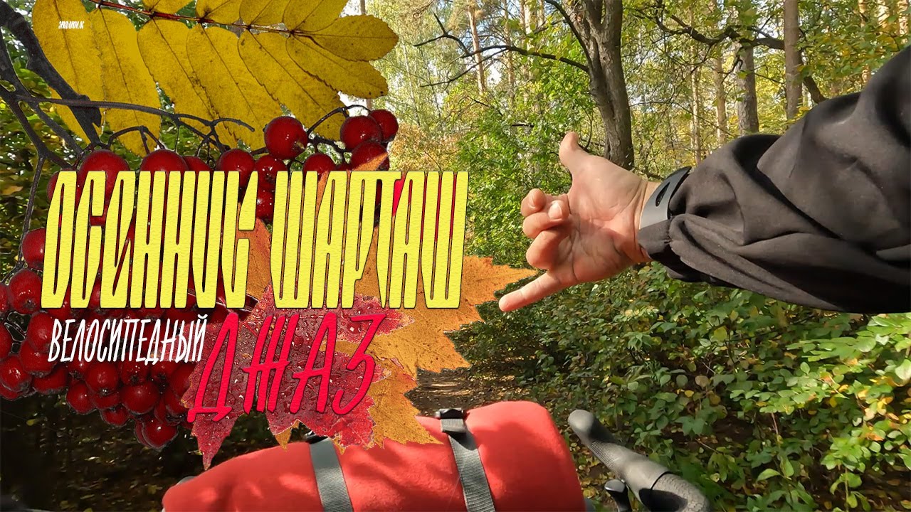 ДАЛ ДЖАЗУ  #осень #навелосипеде #shulzbdc #велоблог #джаз