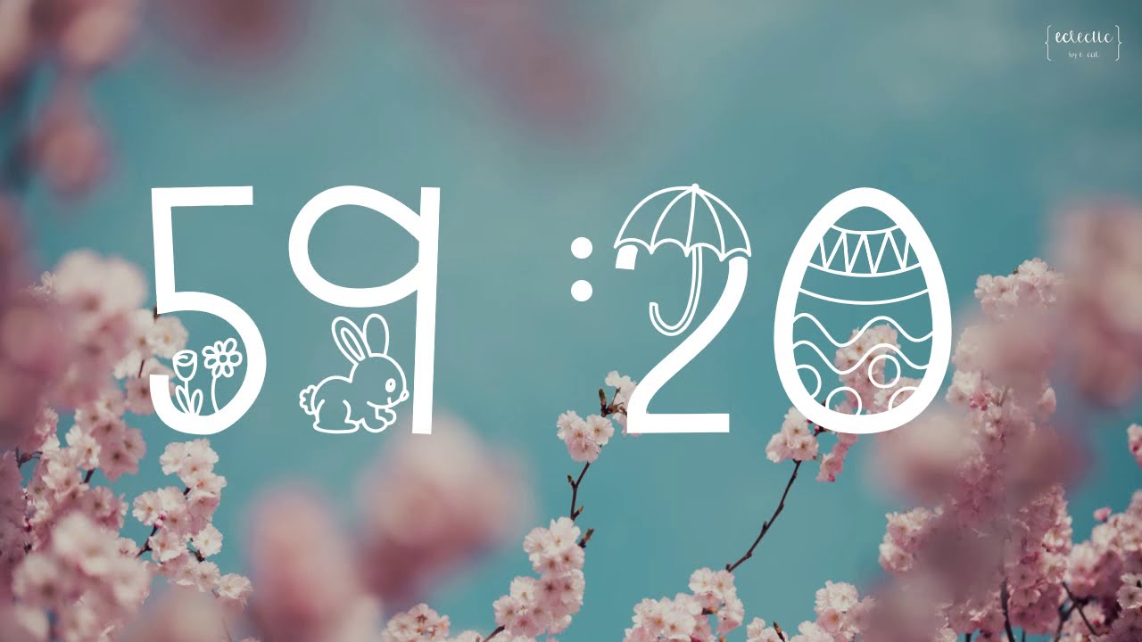 60 minute 1 Hour Timer Spring