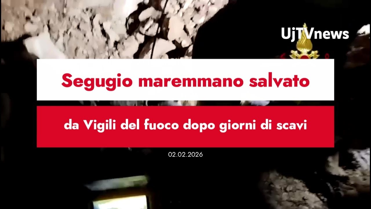 Segugio maremmano salvato  da Vigili del fuoco dopo giorni di scavi